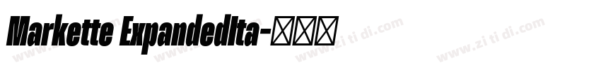 Markette ExpandedIta字体转换